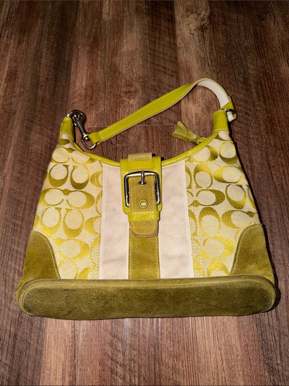 Monogrammed “C” purse Green Suede